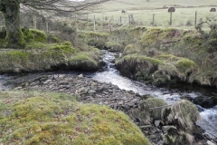 8b. Tributary stream joins from Hoaroak Hill