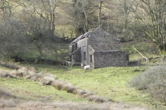 15. Viewed from Hoar Oak Water