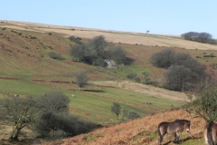 3. Viewed from Exe Plain