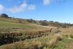 5. Viewed from Hoar Oak Water