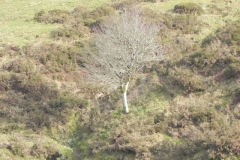 Hoaroak Water Nature 