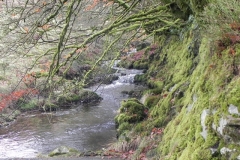 Hoccombe Water to Oare Water Join