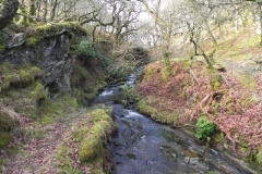 18. Lank Combe Water flowing to Badgworthy