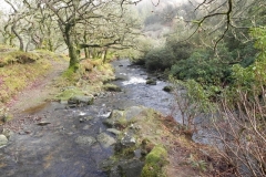 23. Lank Combe Water joins Badgworthy