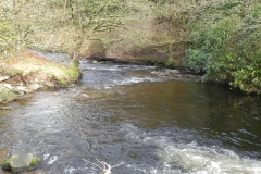 24. Downstream from Lank Combe Water