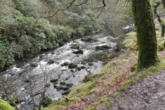 33. Flowing through Badgworthy Wood