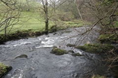 58. Downstream from Cloud Farm