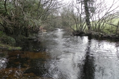 59. Downstream from Cloud Farm