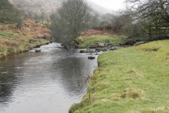 5a. Water from Hoccombe Combe  joins Badgeworthy