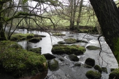 60. Downstream from Cloud Farm