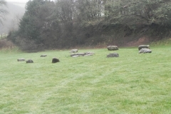 68. Stone Circle Field by Badgworthy Water