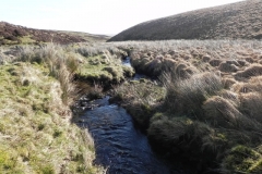 10. Flowing below Hoccombe Hill
