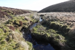 11. Flowing below Hoccombe Hill