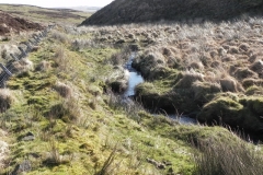 12. Flowing below Hoccombe Hill