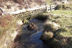 13. Flowing below Hoccombe Hill
