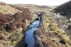 14. Flowing below Hoccombe Hill