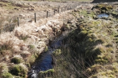 16. Flowing below Hoccombe Hill