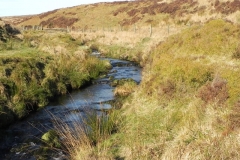 18. Flowing below Hoccombe Hill