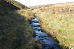 19. Flowing below Hoccombe Hill