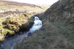 20. Flowing below Hoccombe Hill