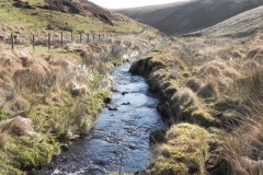 24. Flowing below Hoccombe Hill