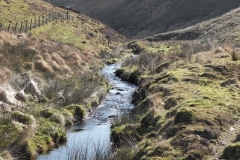 26. Flowing below Hoccombe Hill