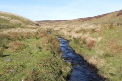 27. Flowing below Hoccombe Hill