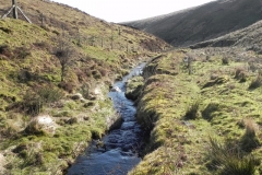28. Flowing below Hoccombe Hill