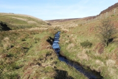 29. Flowing below Hoccombe Hill