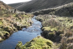 30. Flowing below Hoccombe Hill