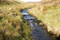 31. Flowing below Hoccombe Hill