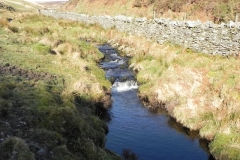 32. Flowing below Hoccombe Hill