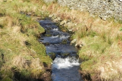 33. Flowing below Hoccombe Hill