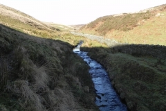 35. Flowing below Hoccombe Hill