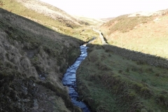 36. Flowing below Hoccombe Hill