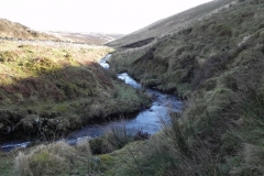 38. Flowing below Hoccombe Hill