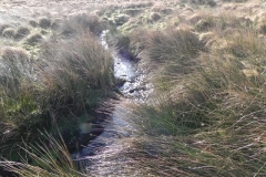 4. Flowing below Hoccombe Hill