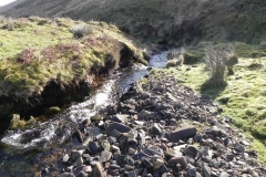 40. Flowing below Hoccombe Hill