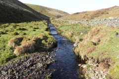 41. Flowing below Hoccombe Hill