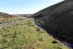 42. Flowing below Hoccombe Hill