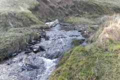 44. Flowing below Hoccombe Hill