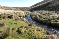 45. Flowing below Hoccombe Hill