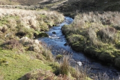 46. Flowing below Hoccombe Hill