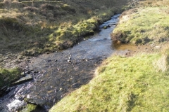 47. Ford below Hoccombe Hill