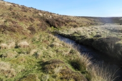 48. Flowing below Hoccombe Hill