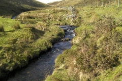 49. Flowing below Hoccombe Hill