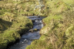 50. Flowing below Hoccombe Hill