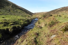 51. Flowing below Hoccombe Hill