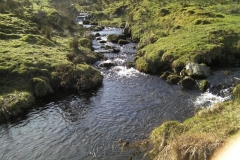 52. Waters from Lannacombe join