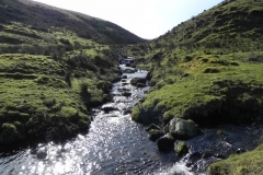 53. Waters from Lannacombe join